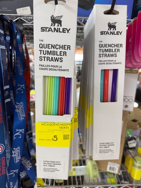 Stanley Quencher Tumbler Straws, 4-pack
